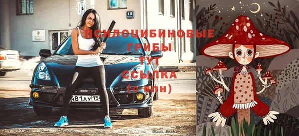 мескалин Мегион