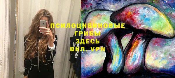 мескалин Мегион