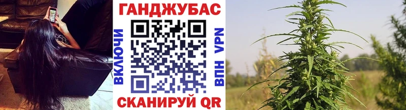 Купить где Костомукша Каннабис MAZAR